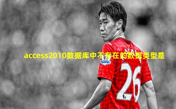 access2010数据库中不存在的数据类型是