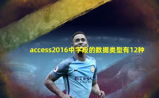 access2016中字段的数据类型有12种