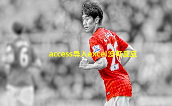 access导入excel没有反应