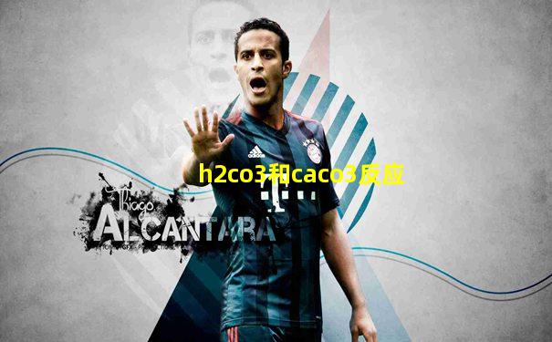 h2co3和caco3反应