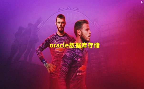 oracle数据库存储