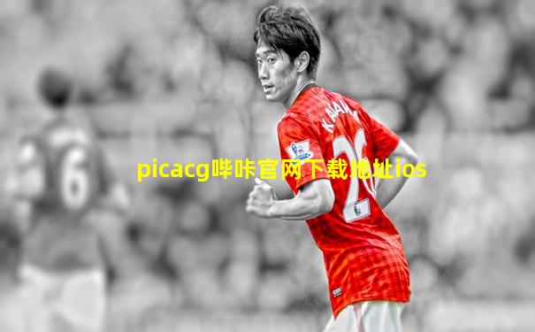 picacg哔咔官网下载地址ios