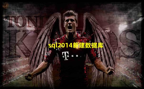 sql2014新建数据库
