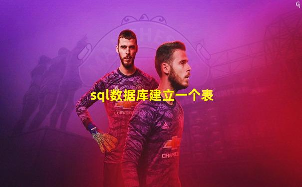 sql数据库建立一个表