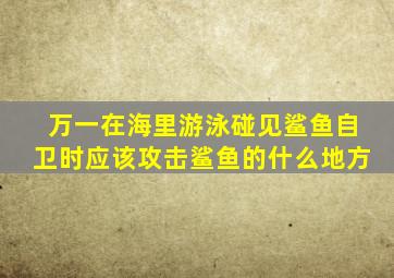 万一在海里游泳碰见鲨鱼自卫时应该攻击鲨鱼的什么地方