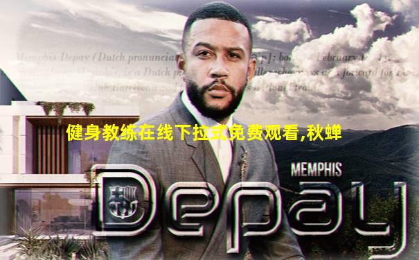 健身教练在线下拉式免费观看,秋蝉
