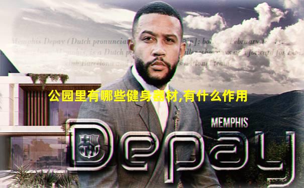 公园里有哪些健身器材,有什么作用