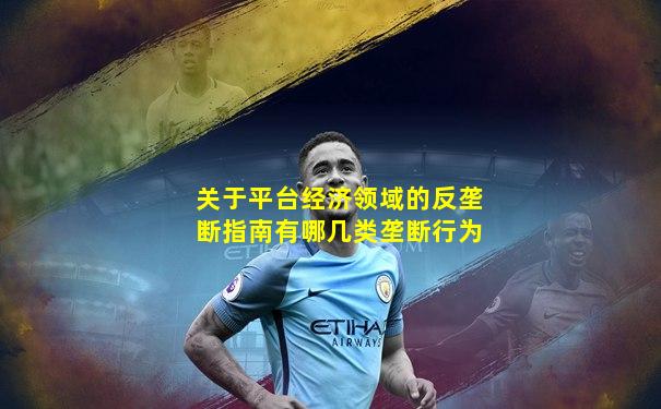 关于平台经济领域的反垄断指南有哪几类垄断行为