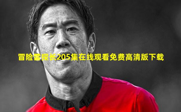 冒险雷探长205集在线观看免费高清版下载