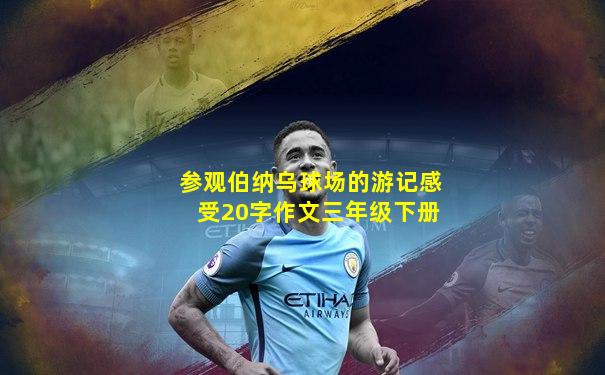 参观伯纳乌球场的游记感受20字作文三年级下册