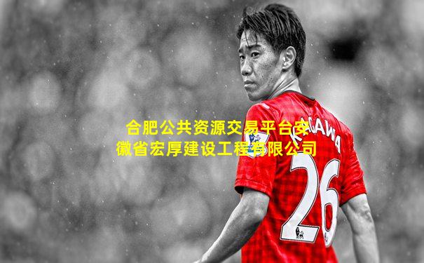 合肥公共资源交易平台安徽省宏厚建设工程有限公司