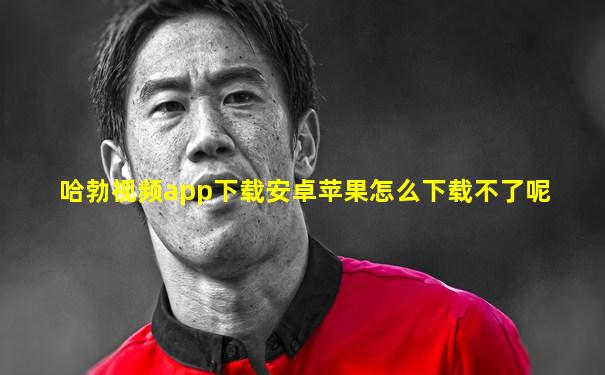 哈勃视频app下载安卓苹果怎么下载不了呢