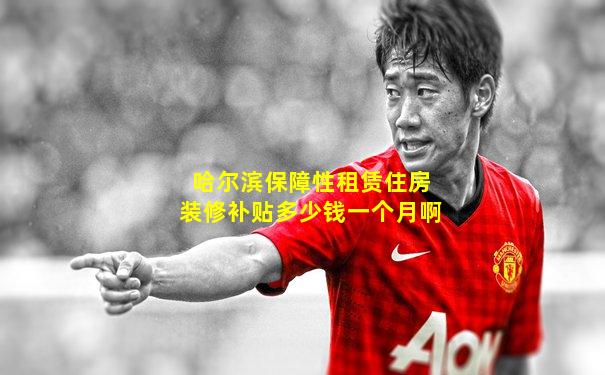 哈尔滨保障性租赁住房装修补贴多少钱一个月啊