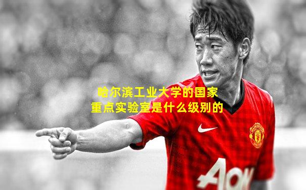 哈尔滨工业大学的国家重点实验室是什么级别的