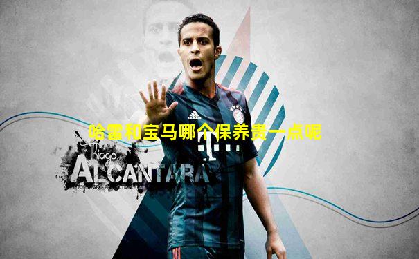 哈雷和宝马哪个保养贵一点呢
