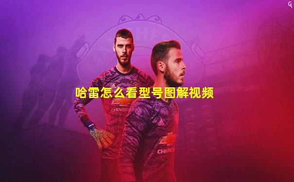 哈雷怎么看型号图解视频