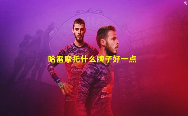 哈雷摩托什么牌子好一点