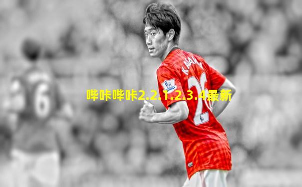 哔咔哔咔2.2.1.2.3.4最新