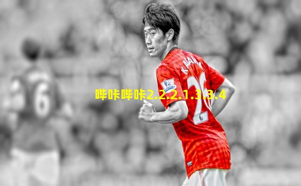 哔咔哔咔2.2.2.1.3.3.4