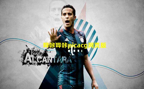 哔咔哔咔picacg网页版