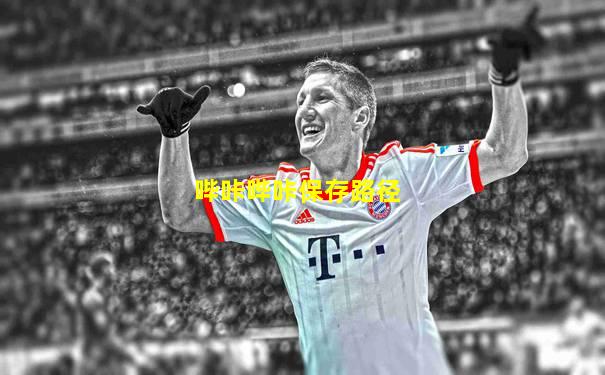 哔咔哔咔保存路径