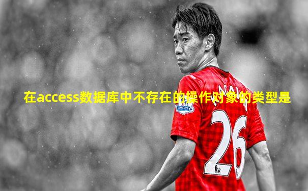 在access数据库中不存在的操作对象的类型是