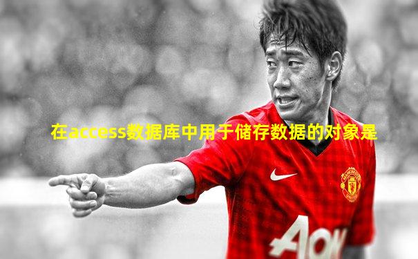 在access数据库中用于储存数据的对象是