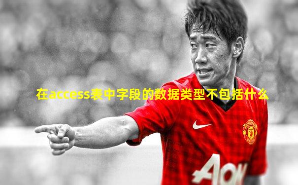 在access表中字段的数据类型不包括什么