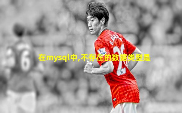 在mysql中,不存在的数据类型是
