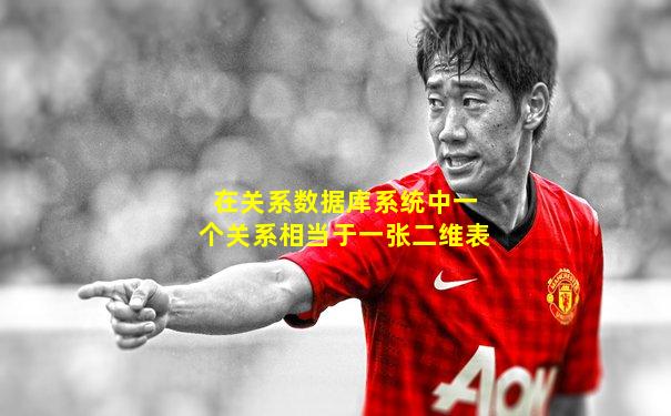 在关系数据库系统中一个关系相当于一张二维表