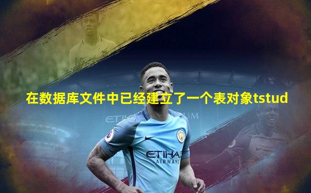 在数据库文件中已经建立了一个表对象tstud
