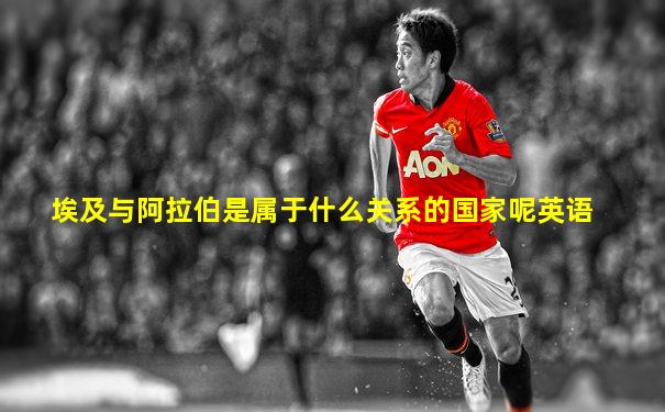 埃及与阿拉伯是属于什么关系的国家呢英语