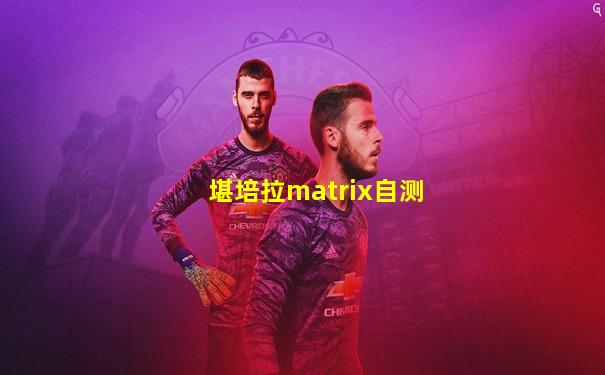 堪培拉matrix自测