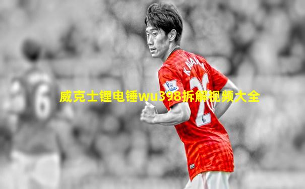 威克士锂电锤wu398拆解视频大全