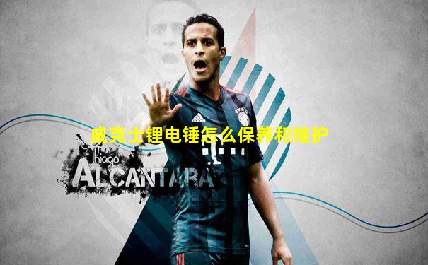 威克士锂电锤怎么保养和维护