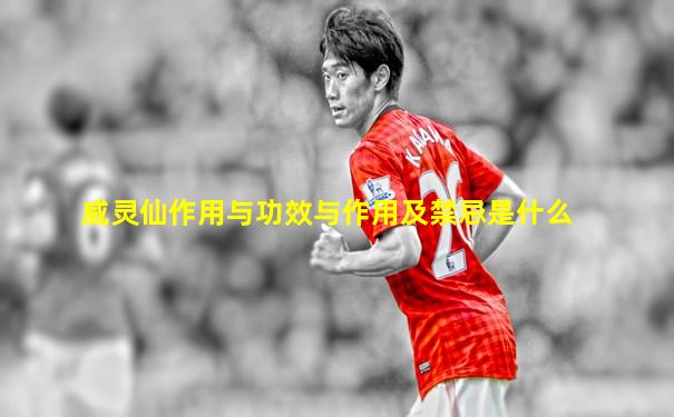 威灵仙作用与功效与作用及禁忌是什么
