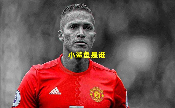 小鲨鱼是谁