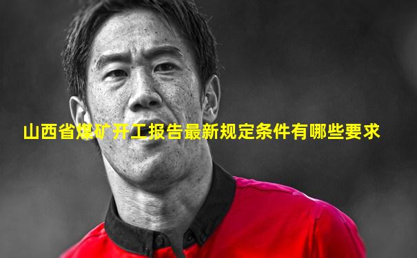山西省煤矿开工报告最新规定条件有哪些要求