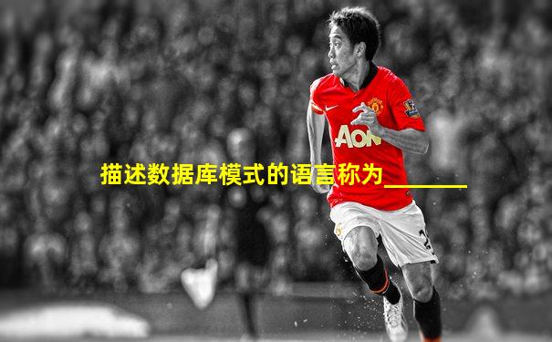 描述数据库模式的语言称为_______