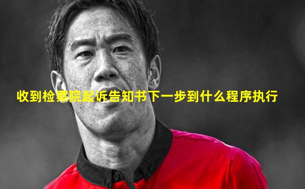 收到检察院起诉告知书下一步到什么程序执行