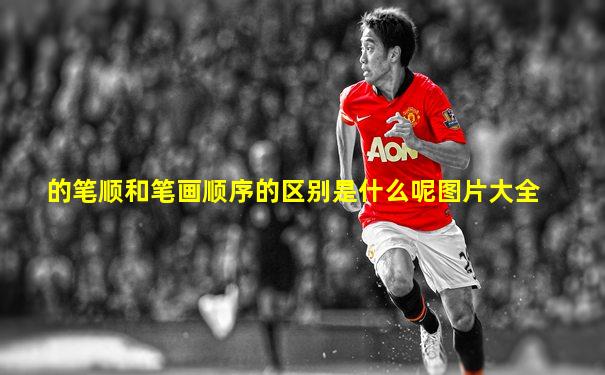 的笔顺和笔画顺序的区别是什么呢图片大全