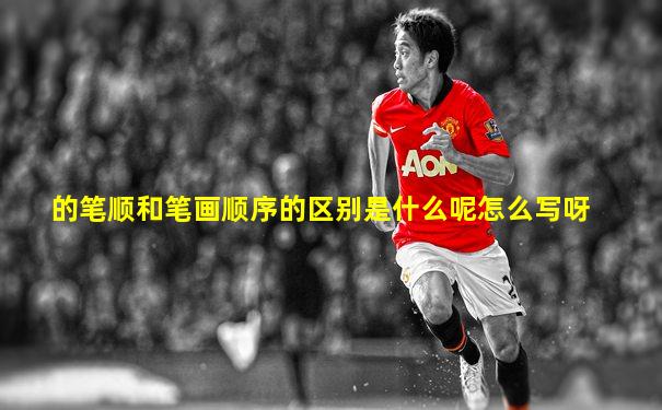 的笔顺和笔画顺序的区别是什么呢怎么写呀