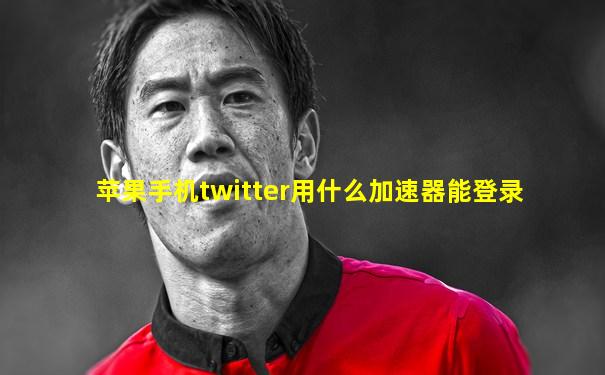 苹果手机twitter用什么加速器能登录