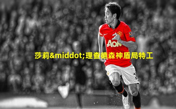 莎莉·理查德森神盾局特工