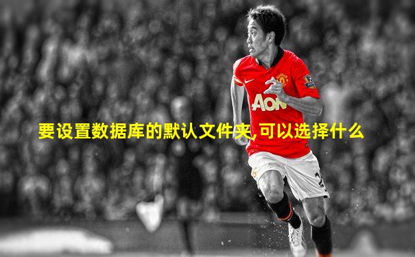 要设置数据库的默认文件夹,可以选择什么