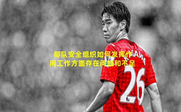 部队安全组织如何发挥作用工作方面存在问题和不足