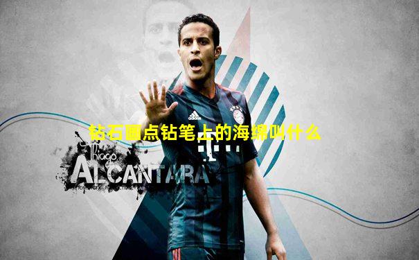 钻石画点钻笔上的海绵叫什么
