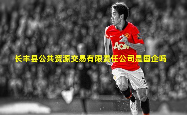 长丰县公共资源交易有限责任公司是国企吗