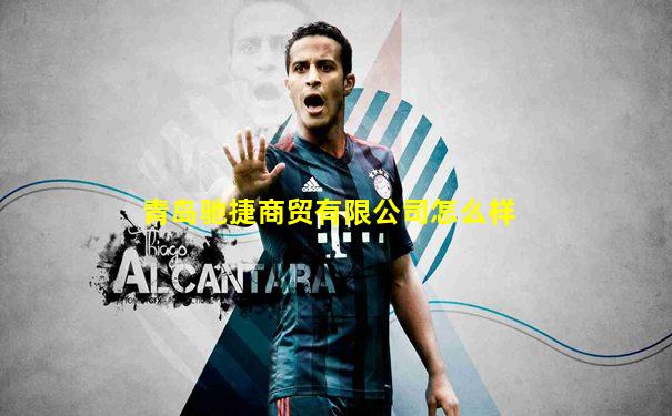青岛驰捷商贸有限公司怎么样